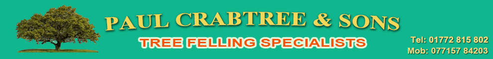 Paul Crabtree,tree felling,arborists,landscaping,Tarleton,Preston,Southport,Merseyside,Liverpool,Ormskirk,tree fellers,tree surgeon,landscaping,lumberjacks,tree pruning,hedge trimming,tree stump removal,woodchip and logs,stump grinding,felling specialists,seasoned logs for sale,dangerous trees?,24 hour emergency call out,forestry works,felling,mortgage reports,high level climbing,green waste recycling,tree surveys